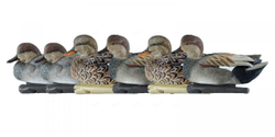 Чучела серой утки Avian-X TOPFLIGHT Gadwall (6 шт.)