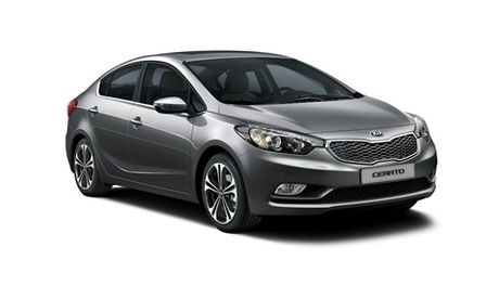 Cerato