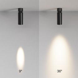 Спот Maytoni   C055CL-L12W3K-SS-B