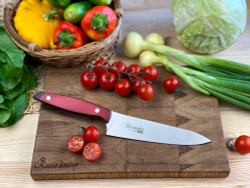 🏆Кухонный нож Alexander M PRO AUS-8 Red G10