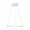 Подвесной светодиодный светильник ST Luce ST603.543.22
