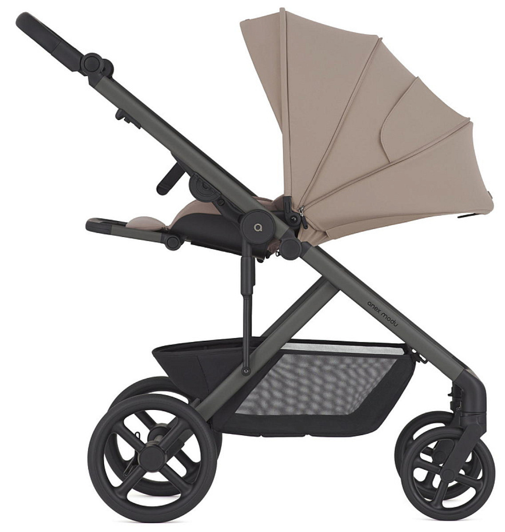 Детская коляска Anex Modu 2 в 1 Rooty
