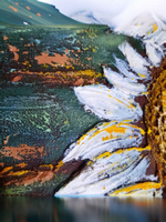 Картина "Кружево водных кругов" 50х60: Ручная уникальная эксклюзивная картина в единственном экземпляре