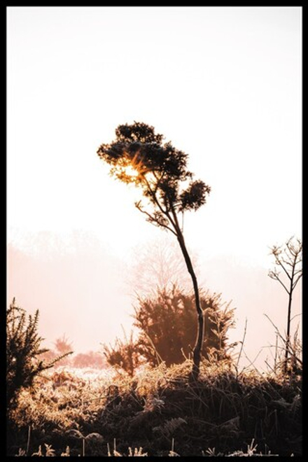 Интерьерная картина в технике цифровой печати. АРТ 095 Природа