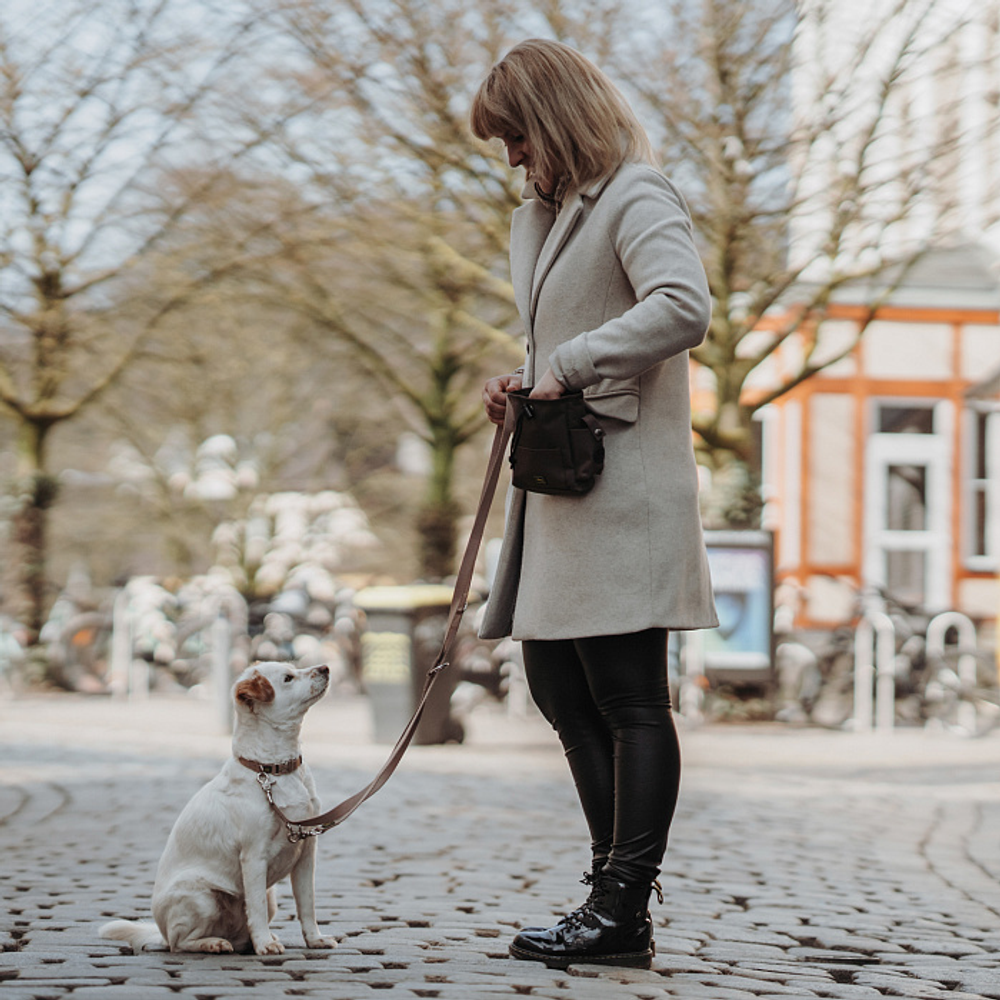 Hunter ошейник для собак ALU-Strong Inari нейлон с металлической застежкой, бежевый