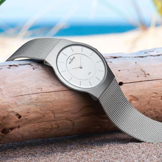 Наручные часы Skagen 233LSS