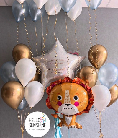 Набор шаров на выписку №9