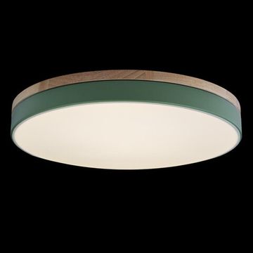 Потолочный светильник LED 36W 4000К 10001/36 Green зелёный Axel LOFT IT