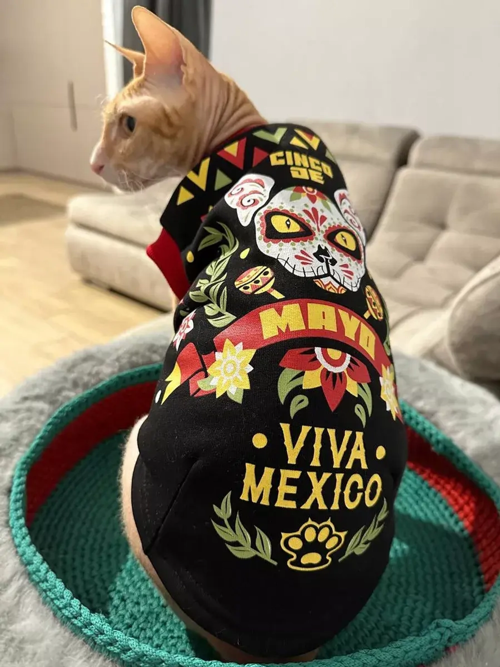 Одежда для кошек сфинкс и собак мелких пород