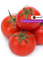 Томат Токидо F1
