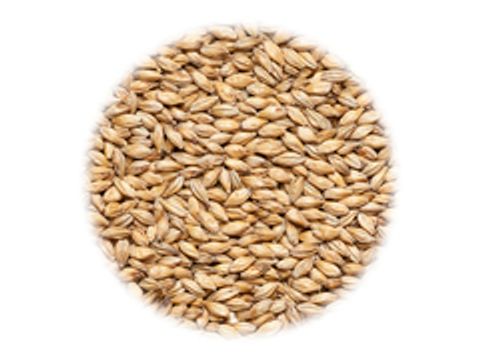 Солод Simpsons Amber Янтарный (Амбер)