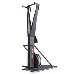 Лыжный тренажёр CardioPower RW50