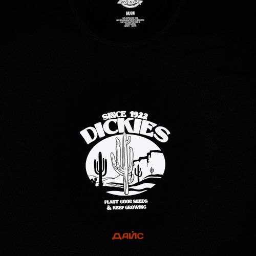 Футболка мужская Dickies Timberville Tee артикул:DK0A4YR3BLK1 - купить в магазине Дайс