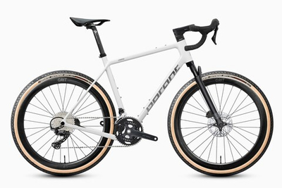 Borant OMNI GRX 610 2x12 (предзаказ 2026)