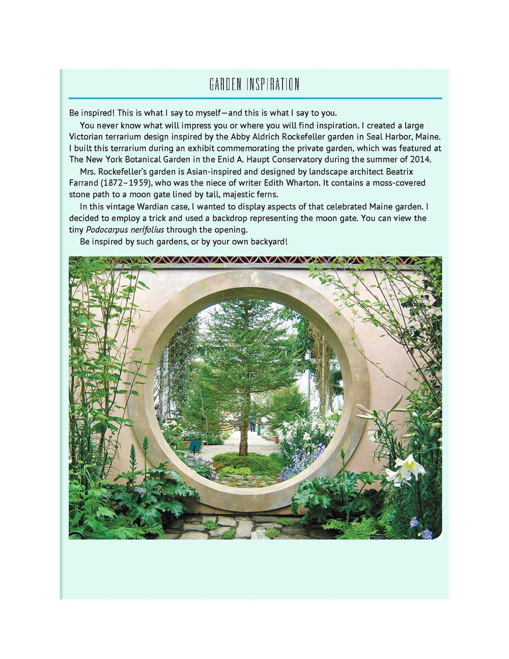 Terrariums - Gardens Under Glass