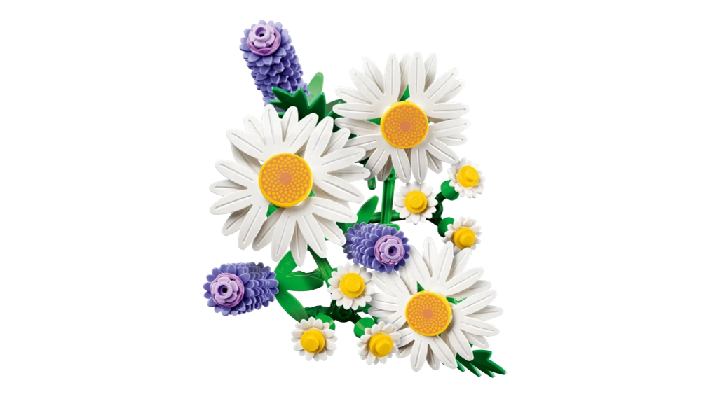 Конструктор LEGO Botanical Collection 11508 Daisies