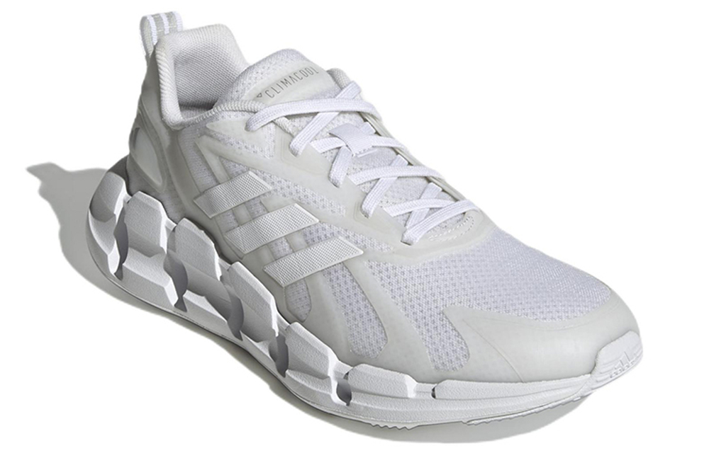 Кроссовки Adidas Ventice Climacool