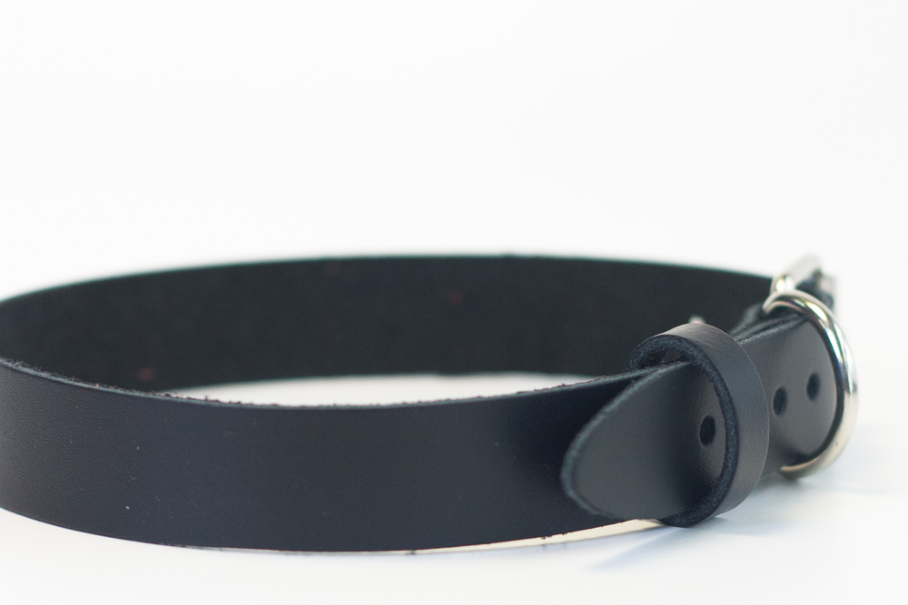 Лунный свет Ошейник с надписью HORNY (черный)