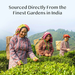 VAHDAM India, Infusions, травяной чай, мята колосистая, без кофеина, 100 пакетиков для заваривания, 120 г (4,23 унции)