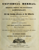 Bаза «Фиалка трехцветная» из коллекции «Ботанический сад»