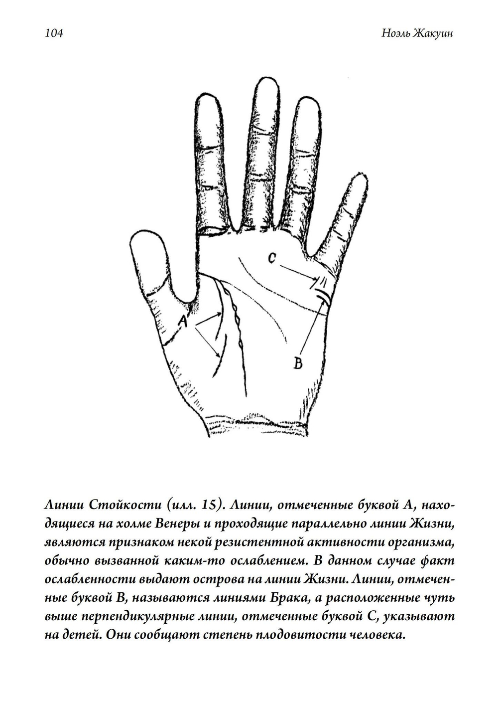 Рука Человека