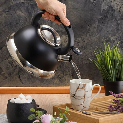 Чайник нерж, 2.5 л, свист, мат, ручк металл, Daniks, чер, GS-04017