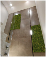 Панно из мха Ягель