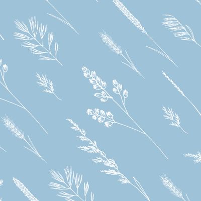 Луговые травы колоски белый на голубом