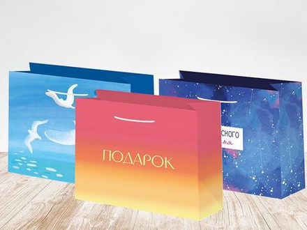 Пакет подар. бумажн. 23*18*10 см, 157гр/м2 Микс женский