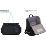 Ранец Berlingo Concept Best way 35х27х6см, 1 отд. с эргономичной спинкой