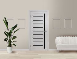 Light 11 Day Black gloss БӨЛМЕАРАЛЫҚ ЕСІГІ