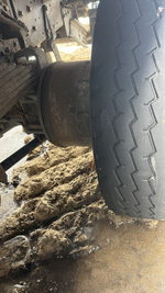 Shacman (Shaanxi) SX* 8x4 Самосвал SX33186V366 (Дизельный, 11,6 л, 423 л.с., МТ)