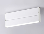 Светильник светодиодный накладной TA1818 WH белый LED 12W 4200K 230*22*87
