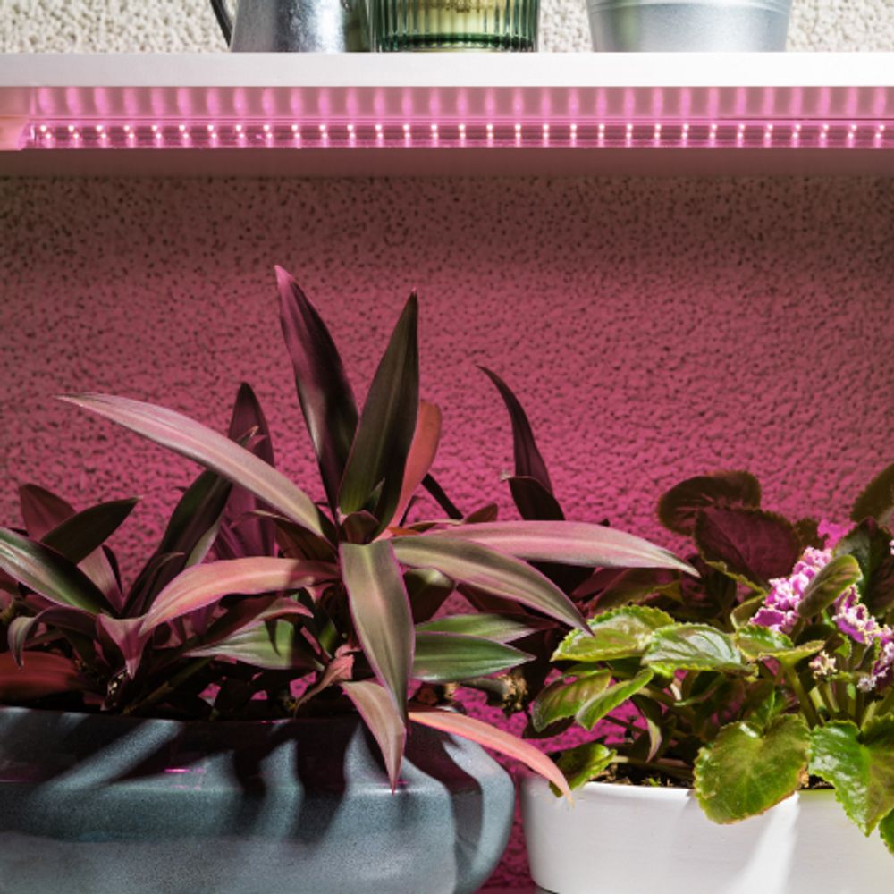 Светильник для растений фитолампа светодиодная линейная ЭРА GREEN LINE FITO-10W-Т5-PL-Slim-GR розового свечения 10 Вт | Линейные фито светильники