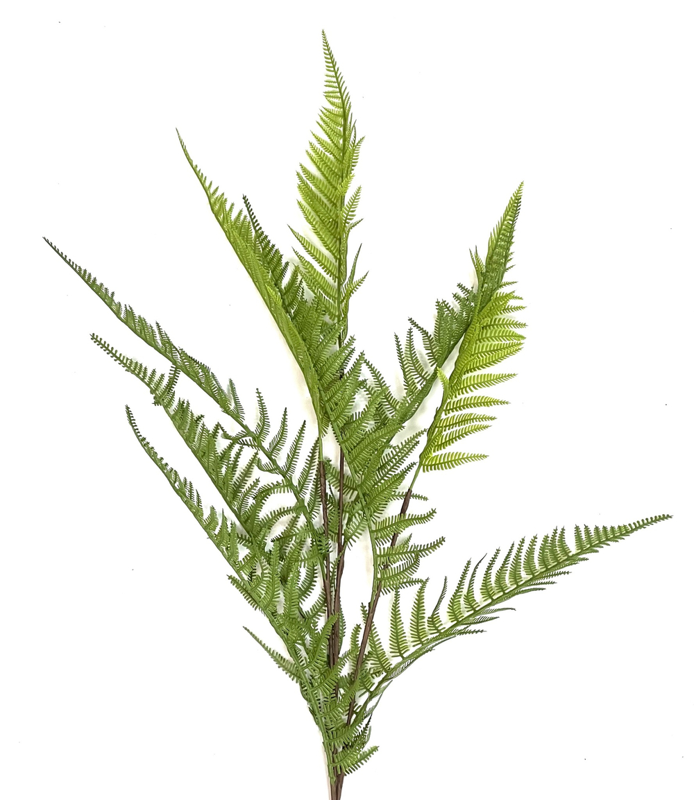 Папоротник  многорядник ветка 105 см