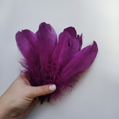 Гусиные перья баклажан 2 сорт 100 шт.