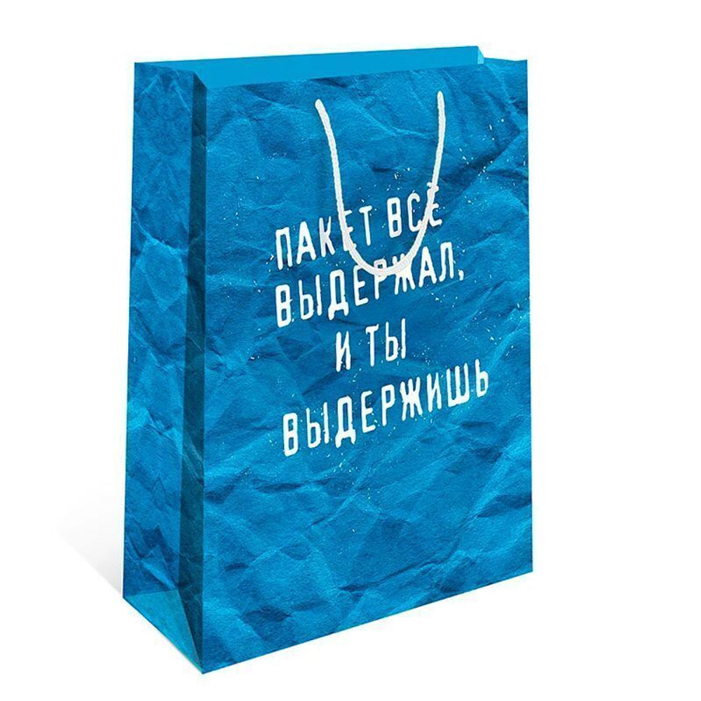 Пакет подарочный "Ты выдержишь"  26*12*32 см