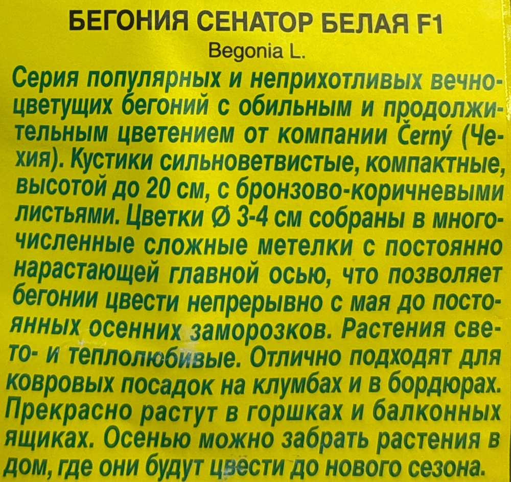 Бегония Вечноцв. Сенатор Белая F1 10 шт СМЦ-771