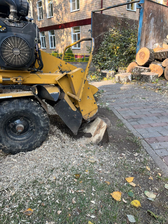 Удаление пней