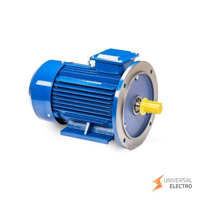 Электрический двигатель 5АИ 100 L4 4/1500 IM 2081