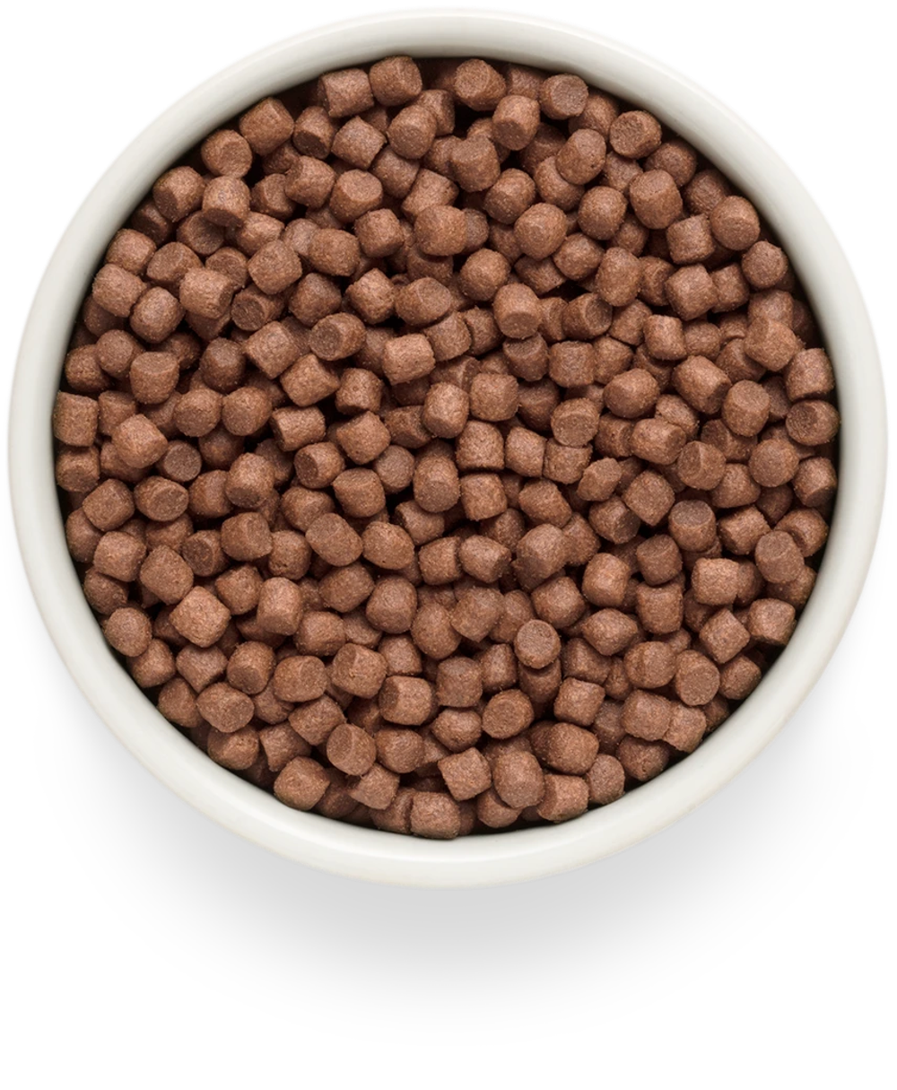 GRANDORF FRESH Свежее мясо ягненка с бататом для собак мелких пород