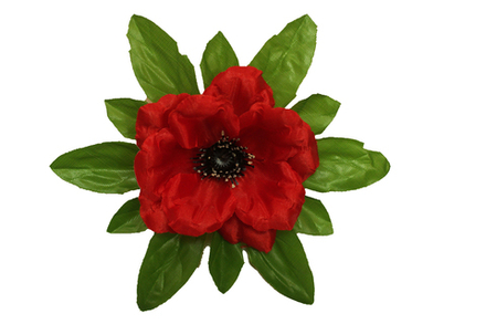 Анемона на листе