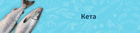 Кета