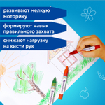 Восковые мелки утолщенные BRAUBERG набор 12 цветов (12 штук в упаковке)