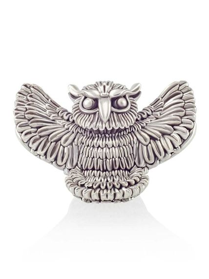 Фотография серебряного шарма сова в профиль.