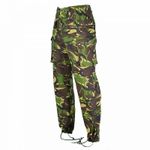 Брюки Britan Combat DPM