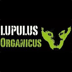 Пиво Lupulus Organicus Пиво Lupulus Organicus