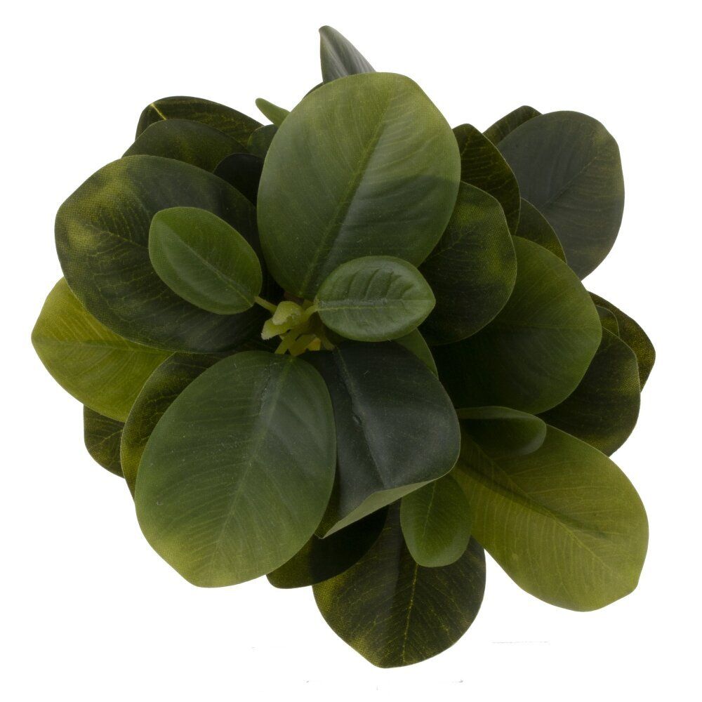 GAEM Цветочная композиция, L10 W10 H25 см