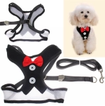 Шлейка с поводком для мелких пород собак и кошек «LAPUSIK», цвет черный, размер L