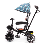 Велосипед 3-х колесный с ручкой и крышей 10*8 EVA, L05